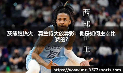 3377体育官网