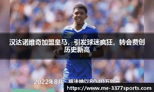 3377体育